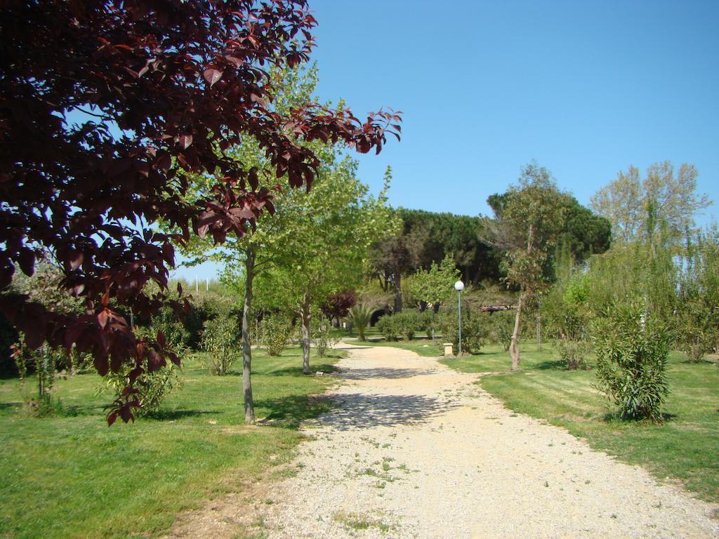 Camping Cap Sud Alenya Exterior photo